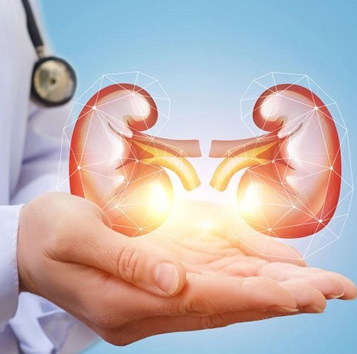 Kidney_Care