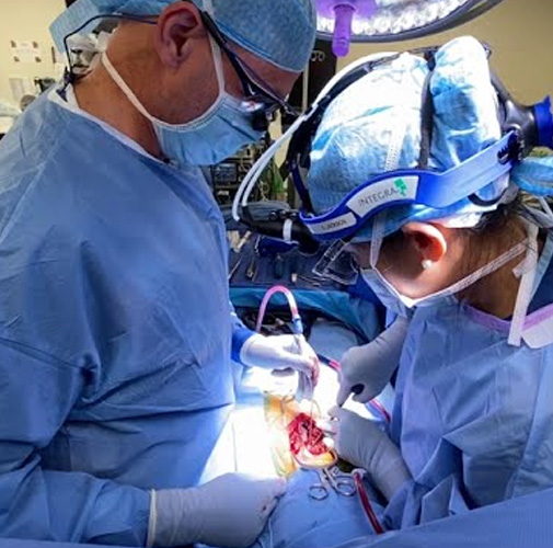 Neuro Surgery